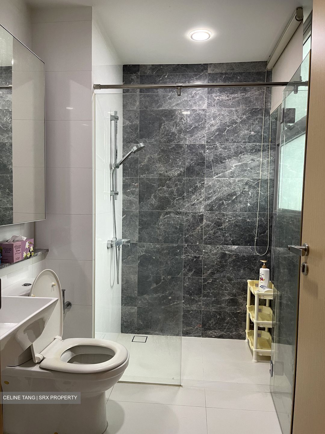 Eight Courtyards (D27), Condominium #387175681